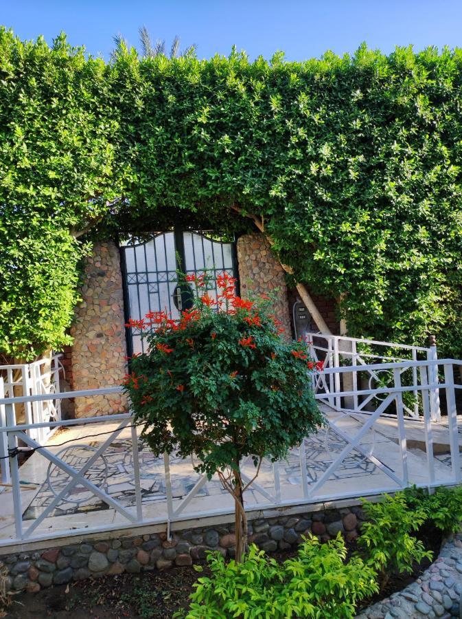 Villa Rayan Χουργκάντα Εξωτερικό φωτογραφία